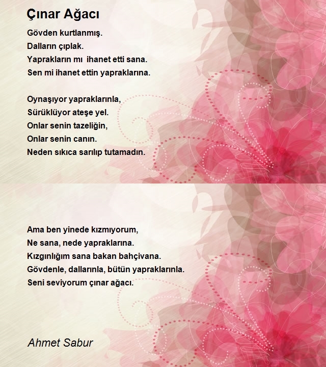 Ahmet Sabur