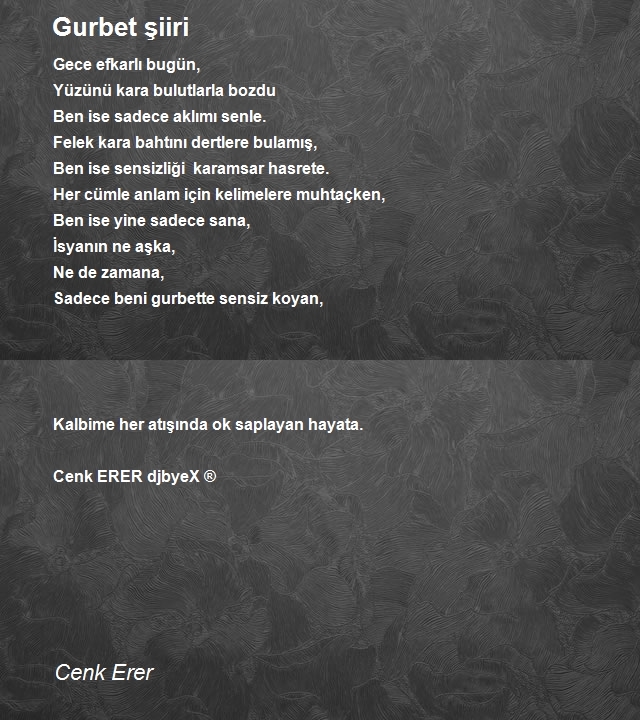 Cenk Erer