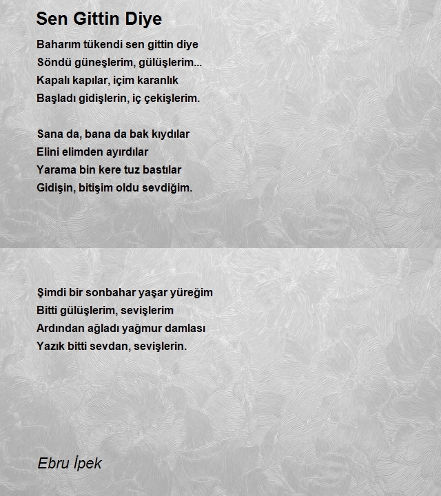 Ebru İpek