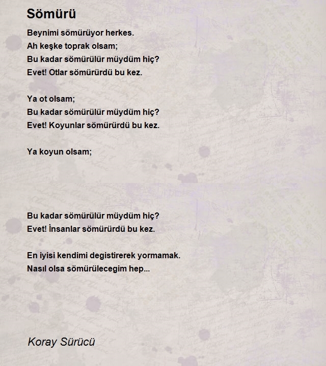 Koray Sürücü