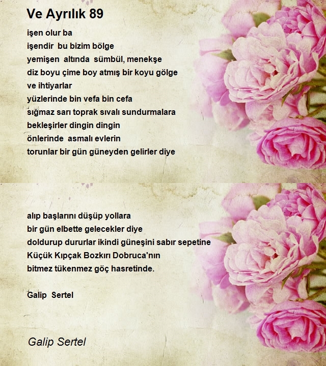 Galip Sertel