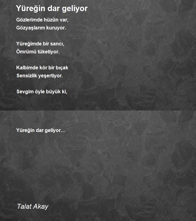 Talat Akay