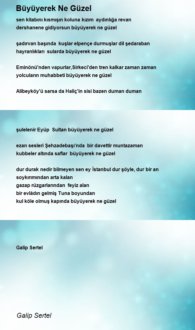 Galip Sertel