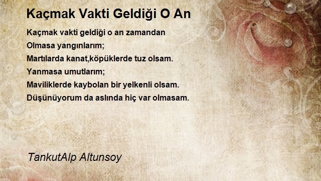 TankutAlp Altunsoy