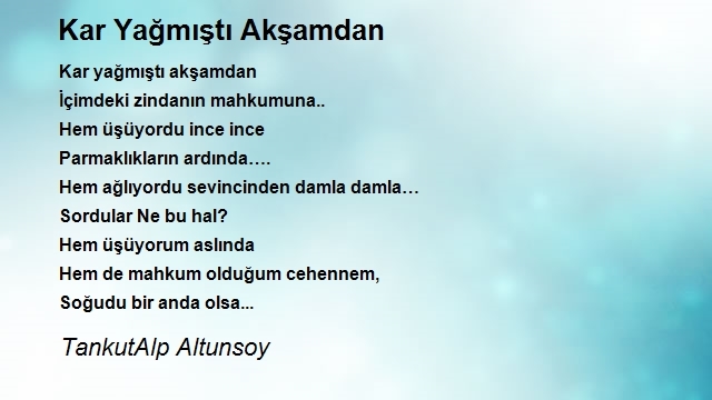 TankutAlp Altunsoy