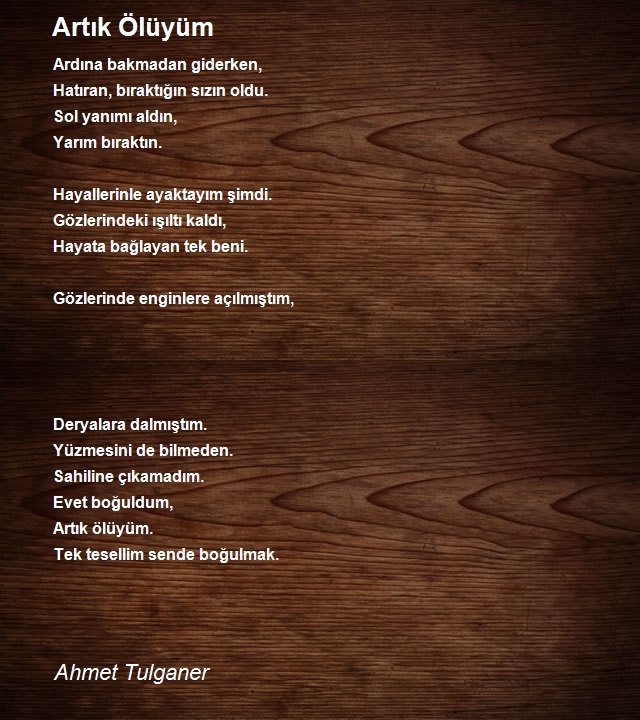 Ahmet Tulganer