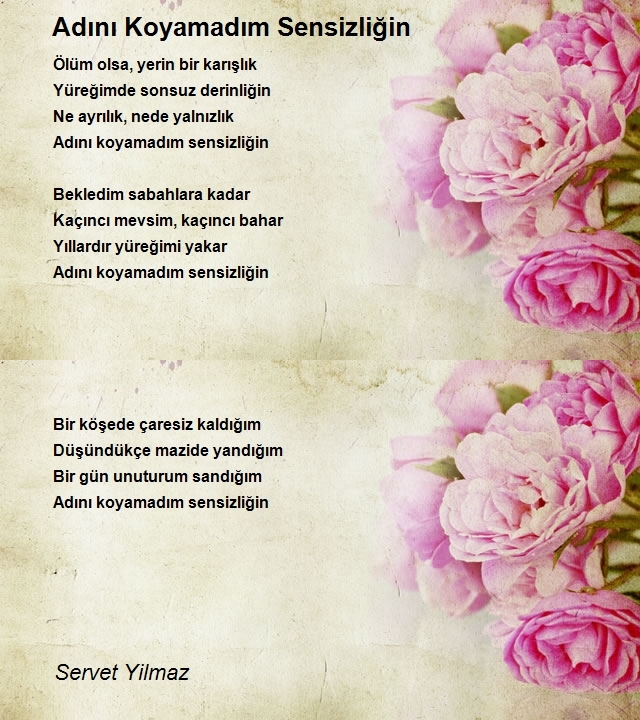 Servet Yilmaz