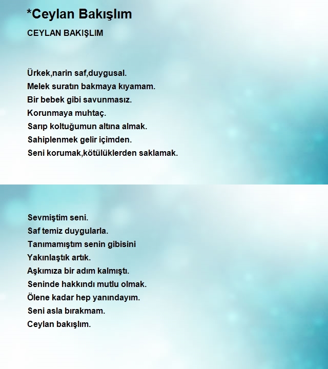 Bayram Erol