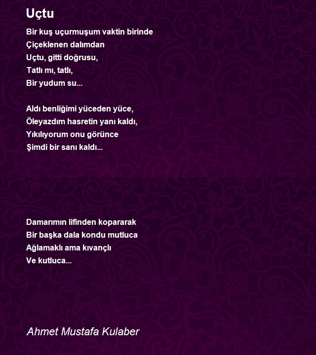 Ahmet Mustafa Kulaber