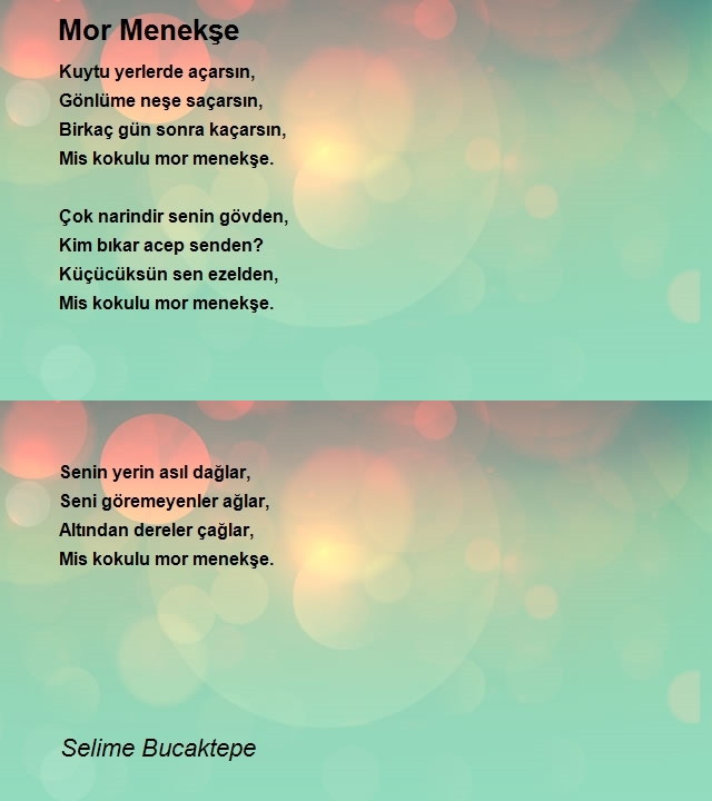 Selime Bucaktepe