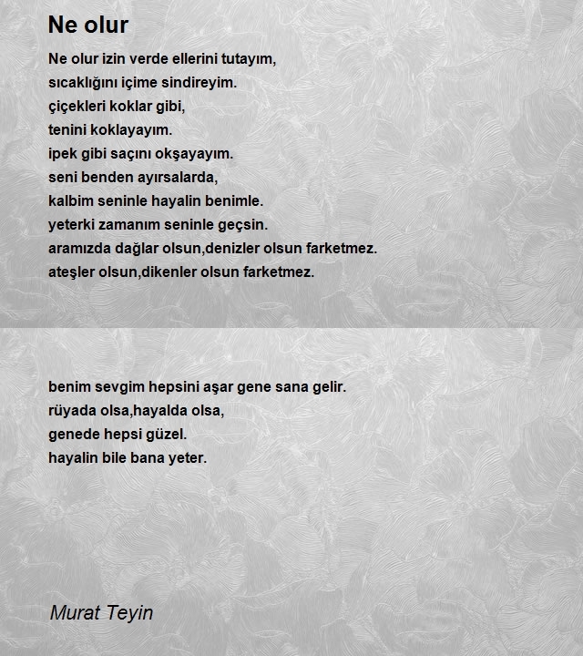 Murat Teyin