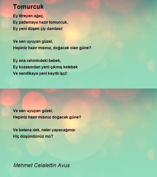 Mehmet Celalettin Avus