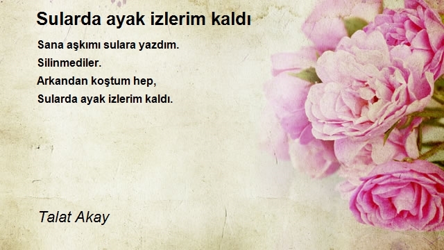 Talat Akay