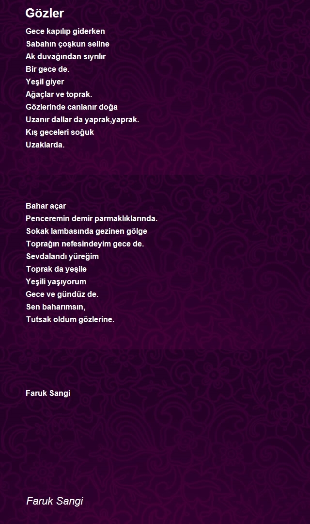 Faruk Sangi