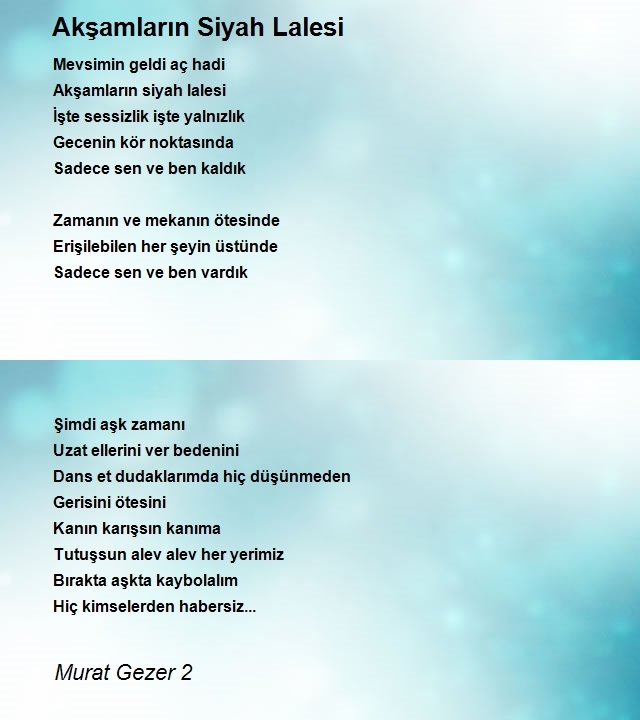 Murat Gezer 2