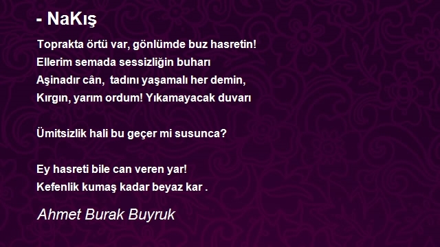 Ahmet Burak Buyruk