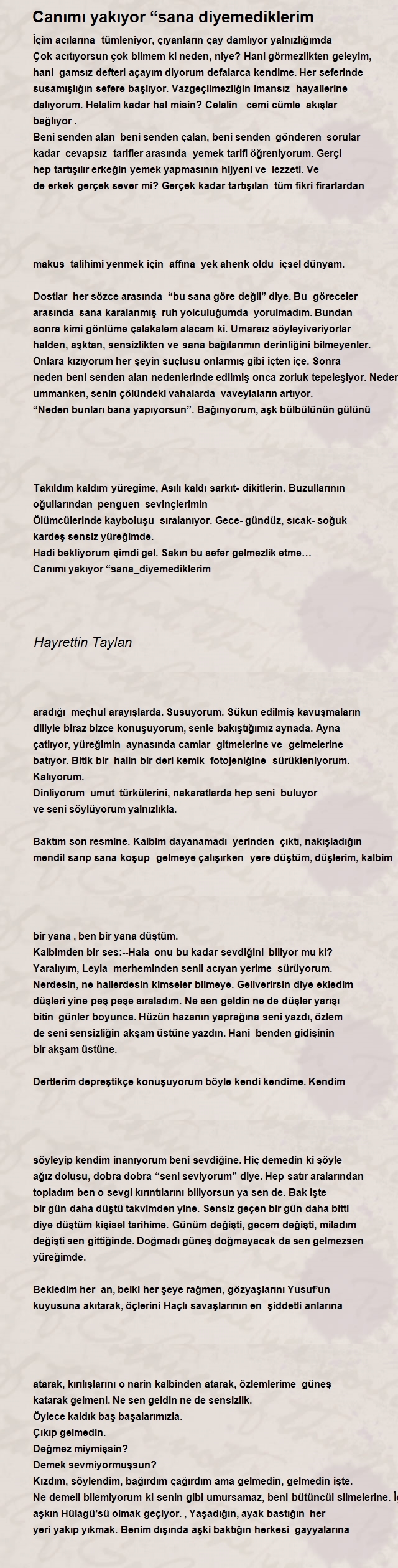 Hayrettin Taylan