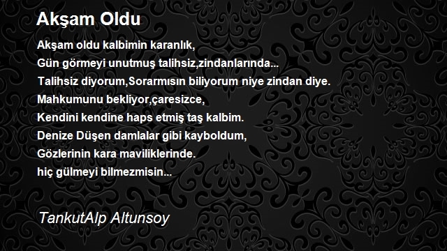 TankutAlp Altunsoy