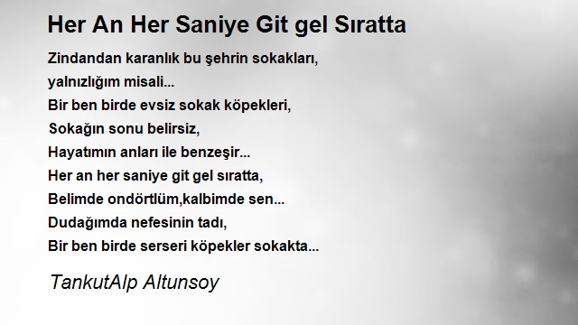 TankutAlp Altunsoy