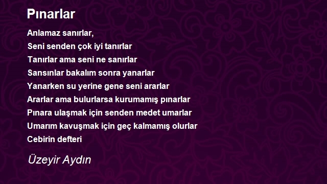 Üzeyir Aydın