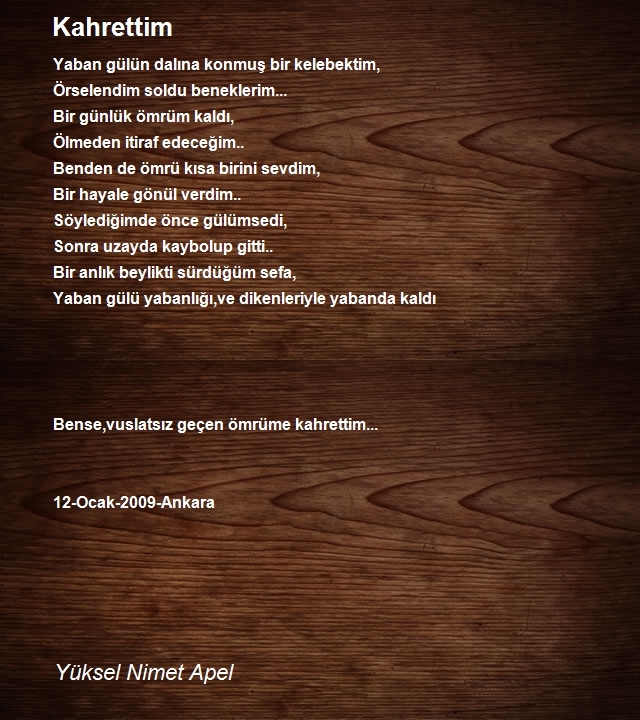 Yüksel Nimet Apel