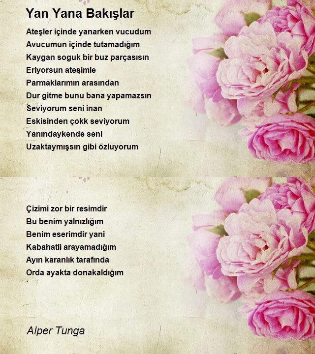 Alper Tunga