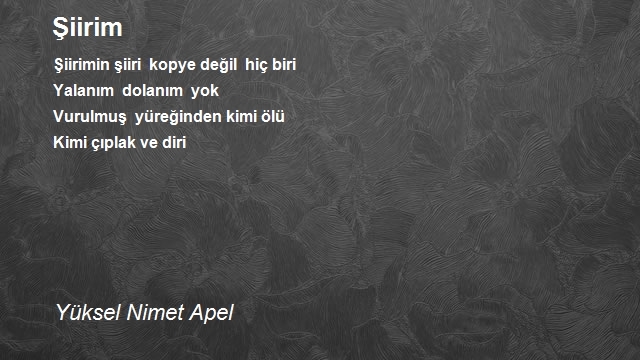 Yüksel Nimet Apel