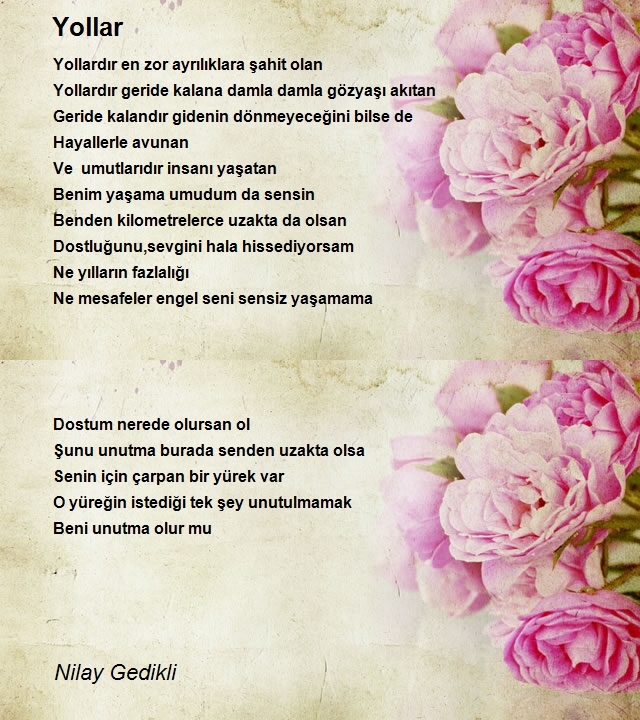 Nilay Gedikli