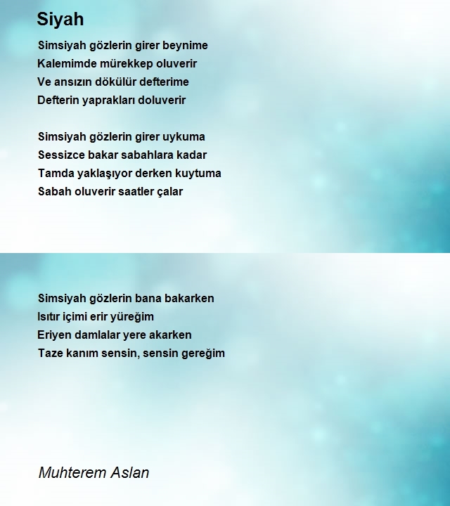 Muhterem Aslan