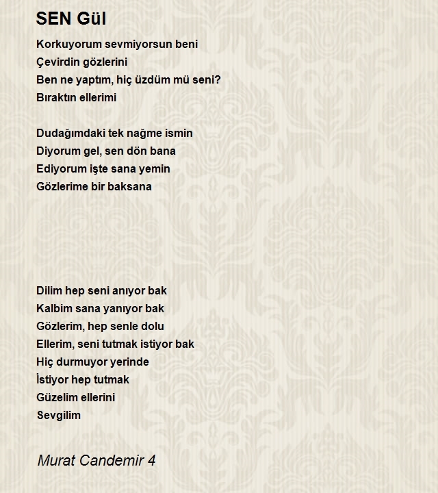 Murat Candemir 4