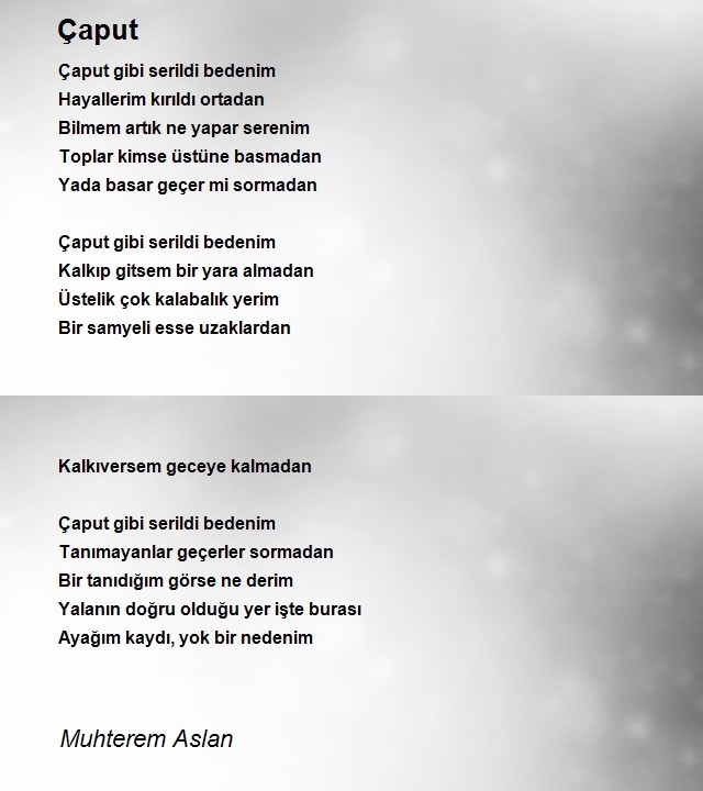 Muhterem Aslan