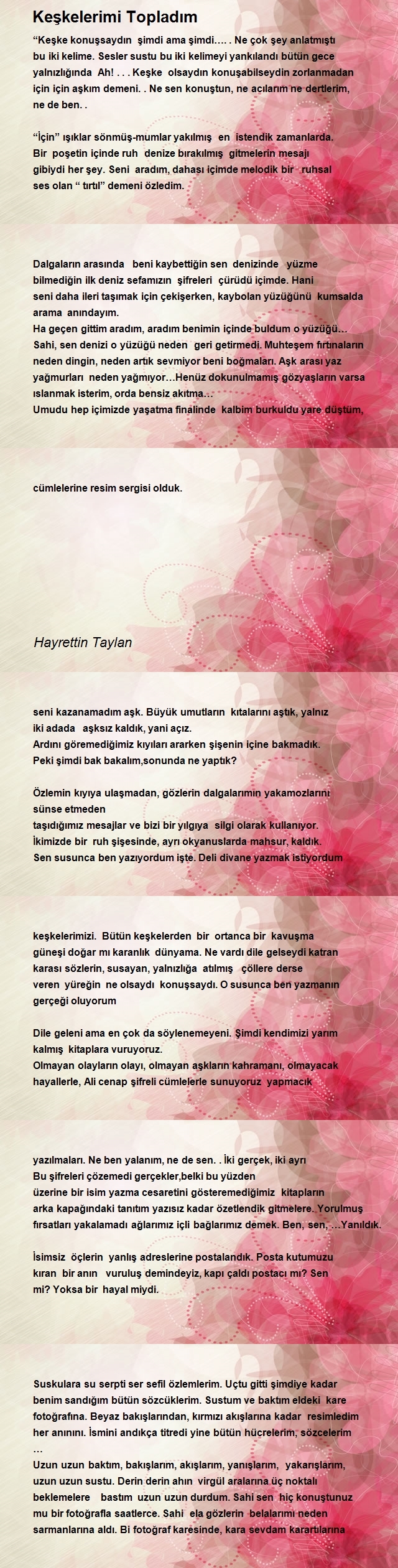 Hayrettin Taylan