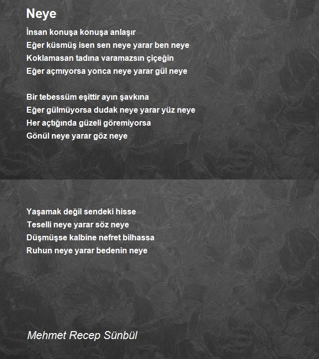 Mehmet Recep Sünbül