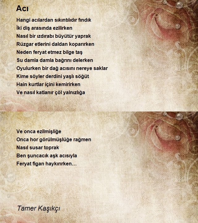 Tamer Kaşıkçı