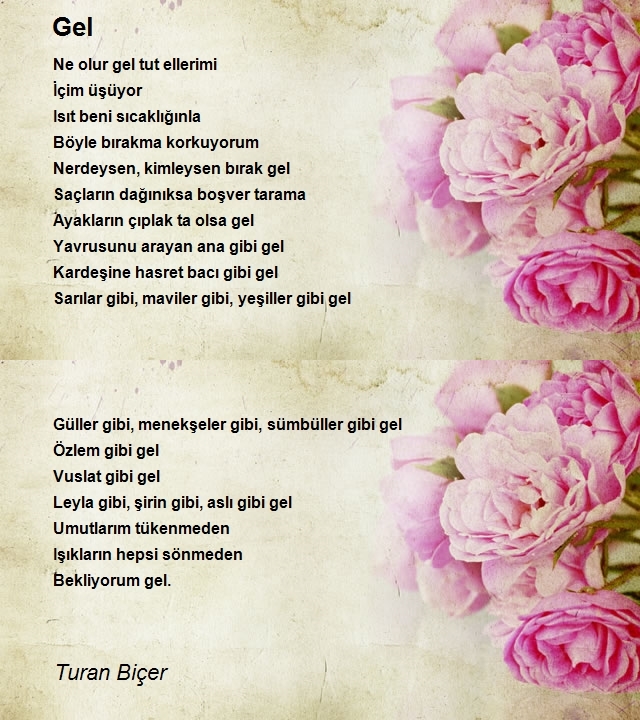 Turan Biçer