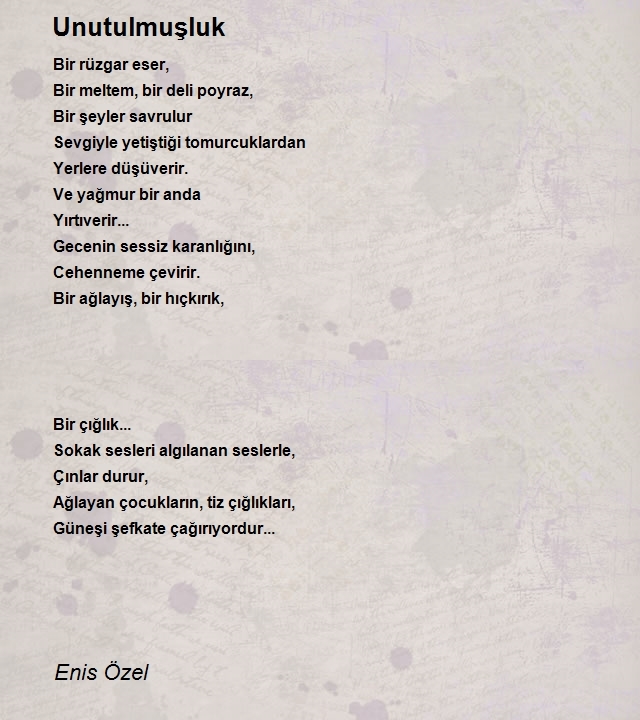 Enis Özel