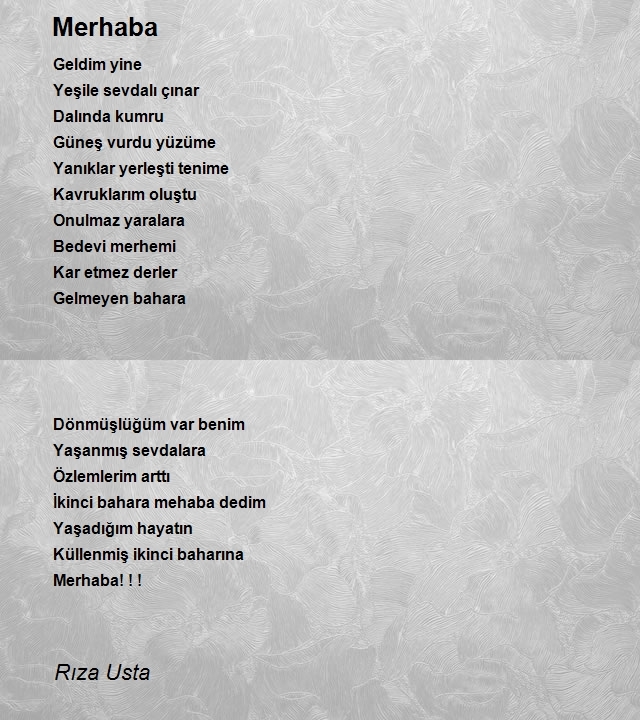 Rıza Usta