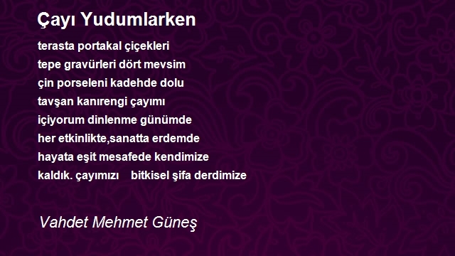 Vahdet Mehmet Güneş