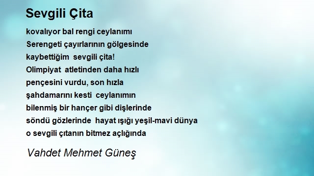 Vahdet Mehmet Güneş