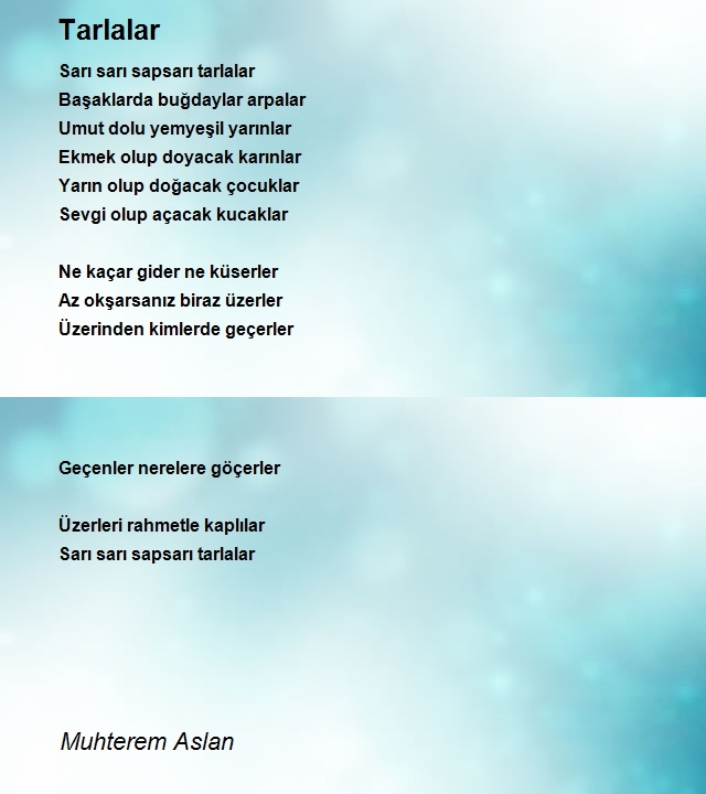 Muhterem Aslan