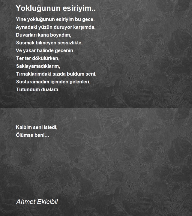 Ahmet Ekicibil