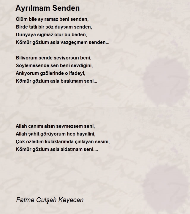 Fatma Gülşah Kayacan