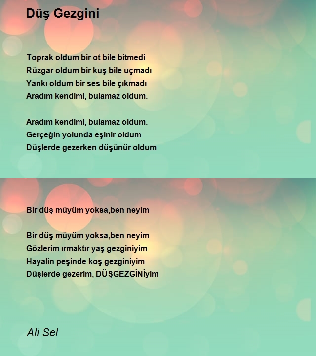 Ali Sel