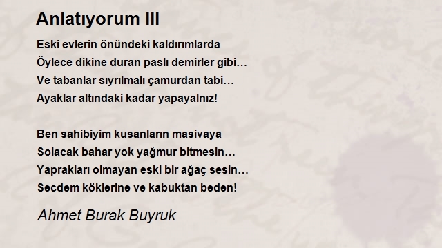 Ahmet Burak Buyruk