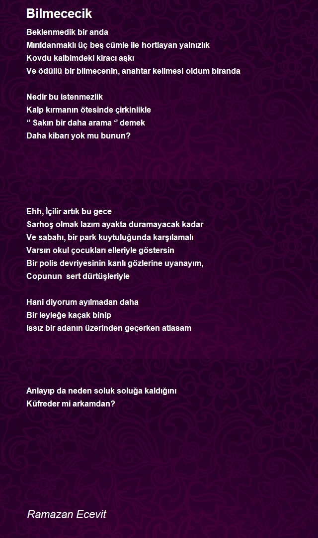 Ramazan Ecevit