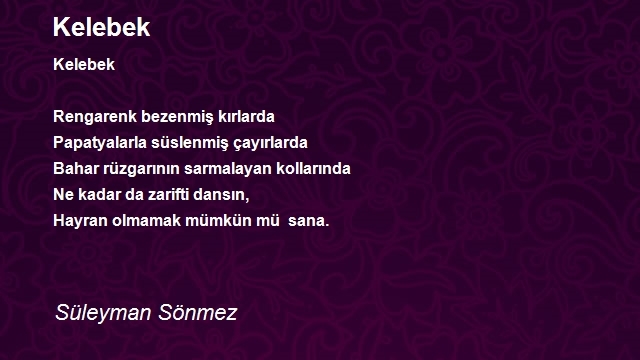 Süleyman Sönmez