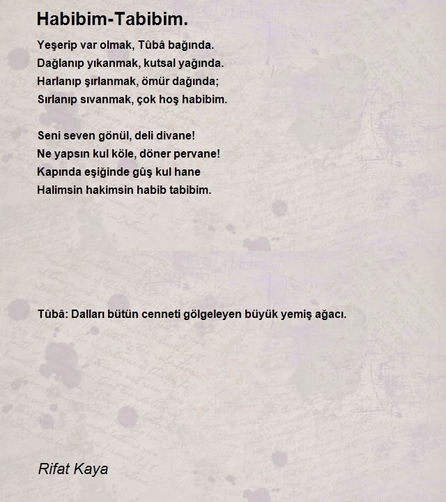 Rifat Kaya