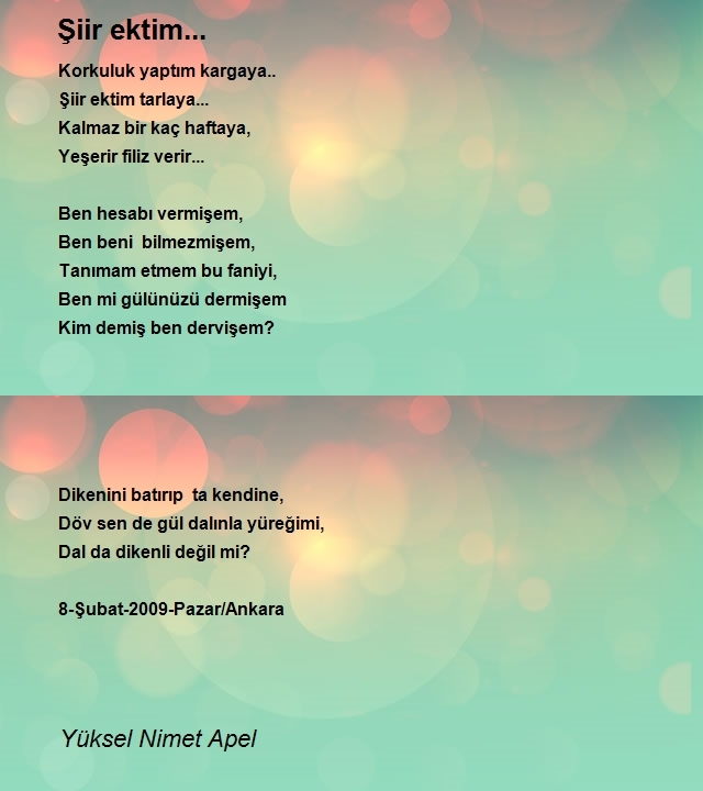 Yüksel Nimet Apel