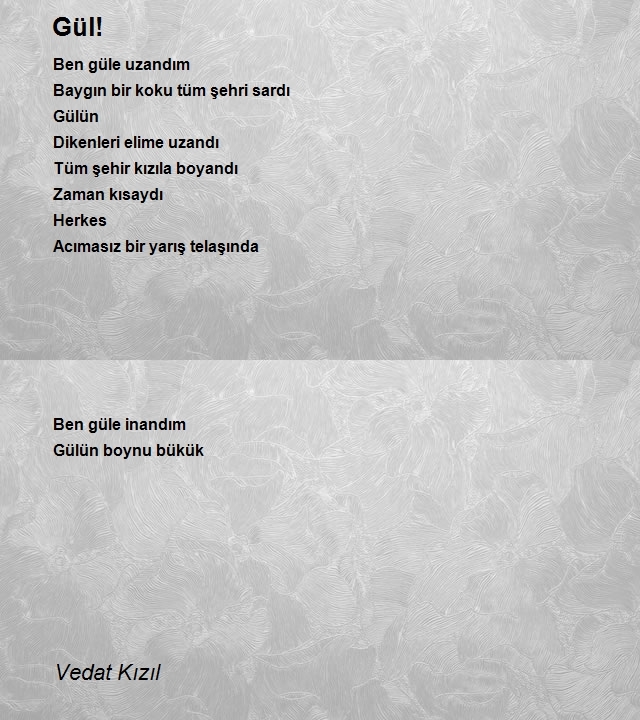 Vedat Kızıl