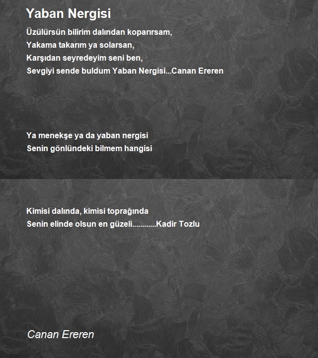 Canan Ereren